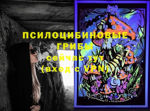 герыч Иннополис