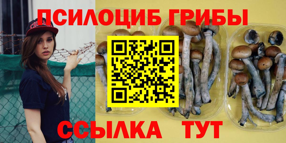 Галлюциногенные грибы ЛСД  Псилоцибиновые грибы MAGIC MUSHROOMS  Вход с VPN  Ногинск 
