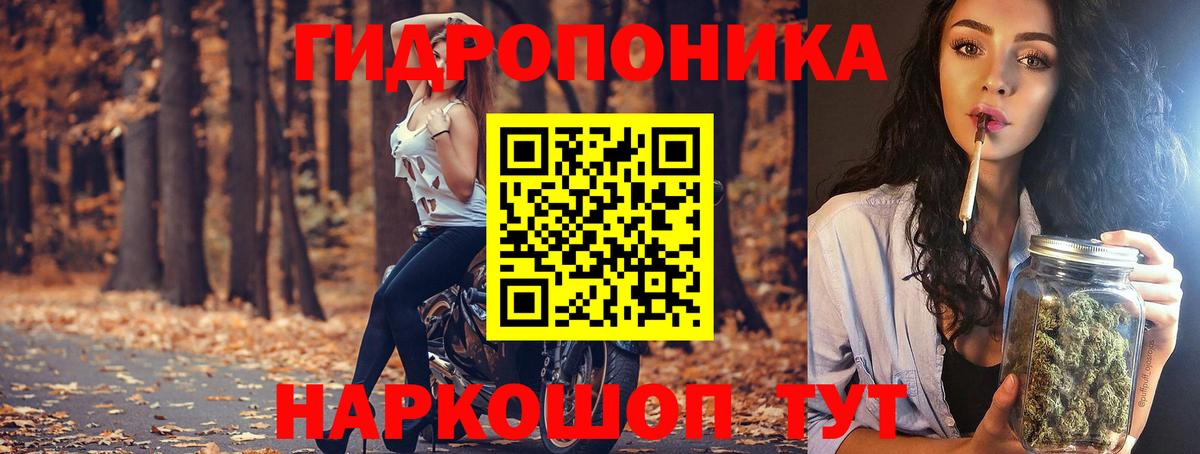 Бошки марихуана семена  Вход с VPN  Ногинск  Шишки марихуана гибрид 